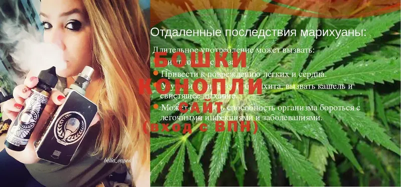 где найти   Ельня  Канабис SATIVA & INDICA 